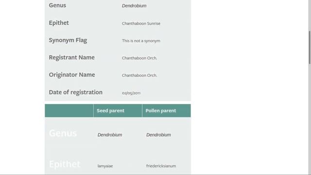 Koleksi Anggrek Kepitu: Dendrobium Chanthaboon Sunrise смотреть онлайн