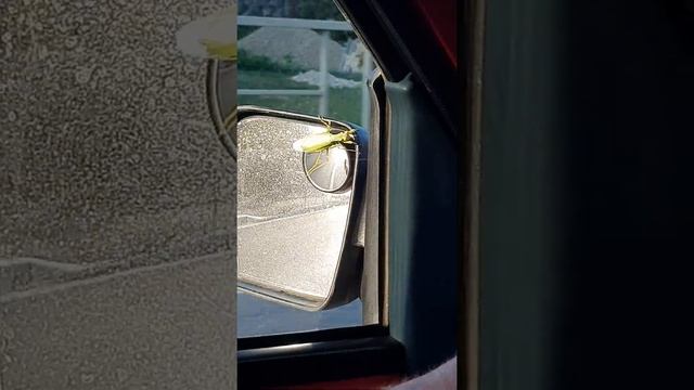 Любитель быстрой скорости смотреть онлайн