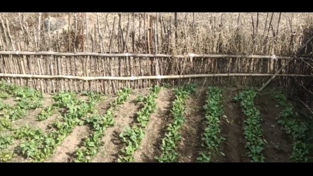 Mano Ban Isynei Ia Nga 8 /Heart Touching Khasi Short Film.