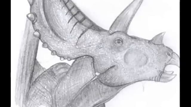 Tribute To Anchiceratops