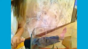 Переселение хомячка