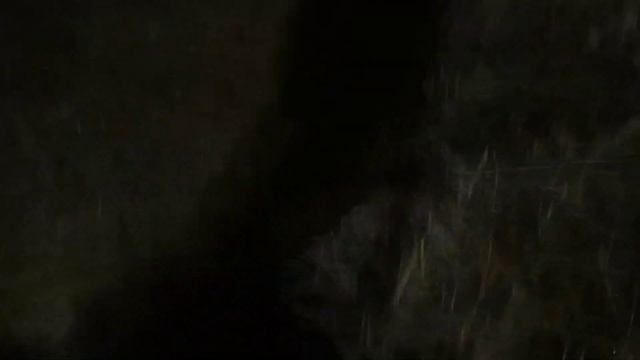 Охтота на Косуль. смотреть онлайн