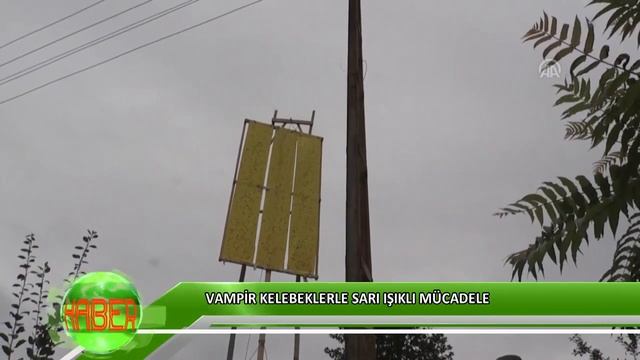 Vampir kelebeklerle sarı ışıklı mücadele смотреть онлайн