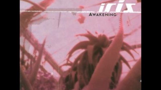 Iris ~ When I'm Not Around