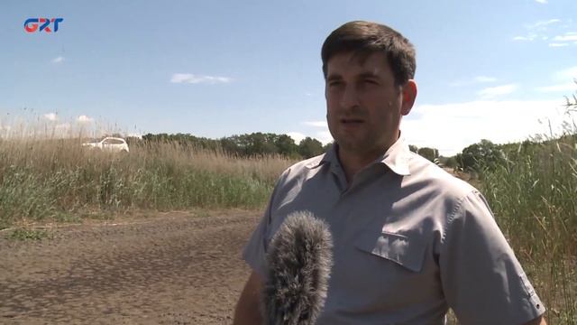 В Тараклийском районе существует угроза нашествия саранчи. Какие меры предпринимают власти? смотреть онлайн