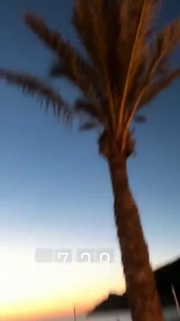 Instagram stories Toni Garrn смотреть онлайн