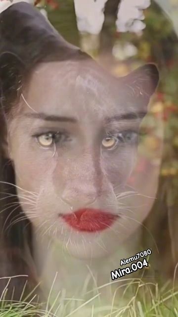 Mira szalma black Panter @Mira004 #fypシ゚ #viralgirl #fypviral #blackpanther смотреть онлайн