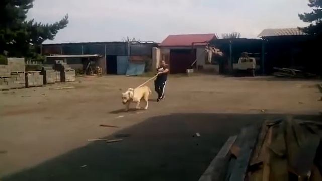 Арв линия хода смотреть онлайн