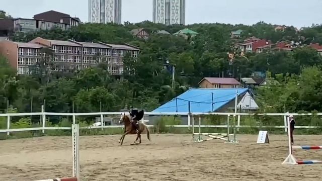 •Костюмированые соревнования! 60 см с Азалией:))• смотреть онлайн