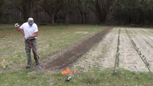 Kubota B2601 Putting out the Green Beans смотреть онлайн