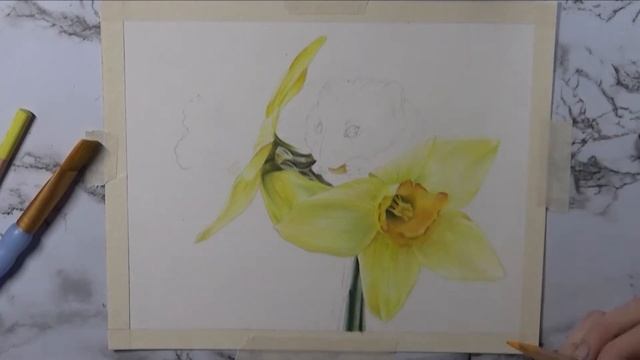 Tutorial | Soft Pastels | Mouse on Daffodils смотреть онлайн