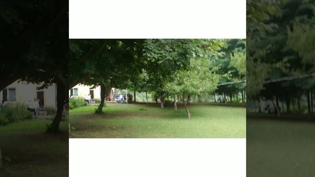 Парк Акации🌳❤️🍀 смотреть онлайн