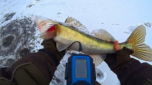 МОЩНЫЕ ПОКЛЕВКИ, КАК В ПОСЛЕДНИЙ РАЗ. ЛОВЛЯ СУДАКА В ФЕВРАЛЕ. Зимняя рыбалка