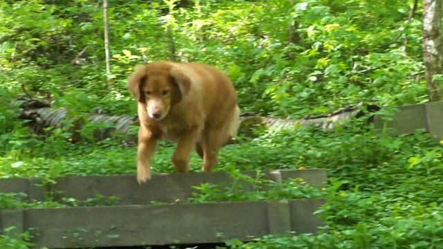 tollaren zack ! смотреть онлайн