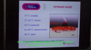 Доктор Голод Об атеросклерозе
