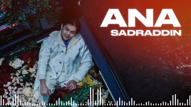 Sadraddin - Ana | Audio Visualizer Video