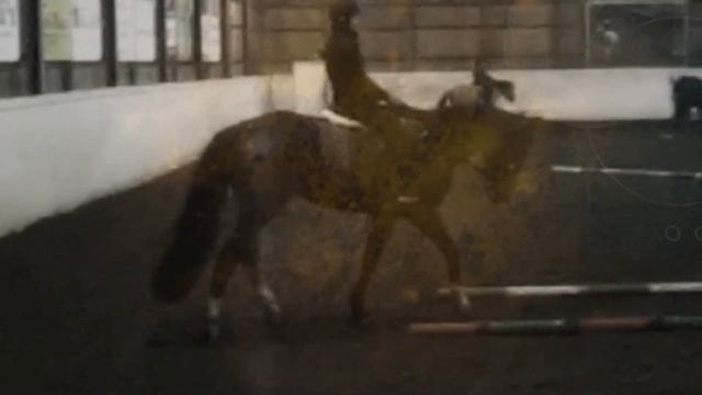 Unadonna † ᴿᴵᴾ смотреть онлайн