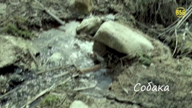 30 декабря 2020 г. смотреть онлайн