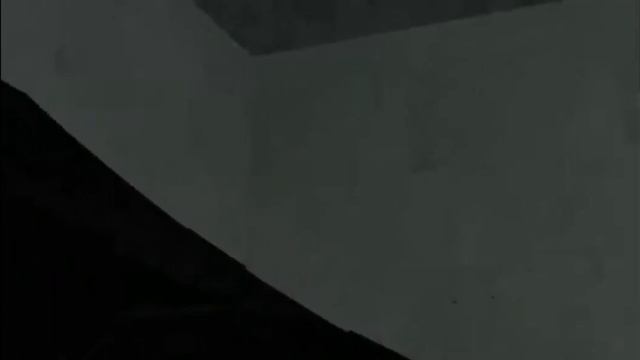 Перри Утконос