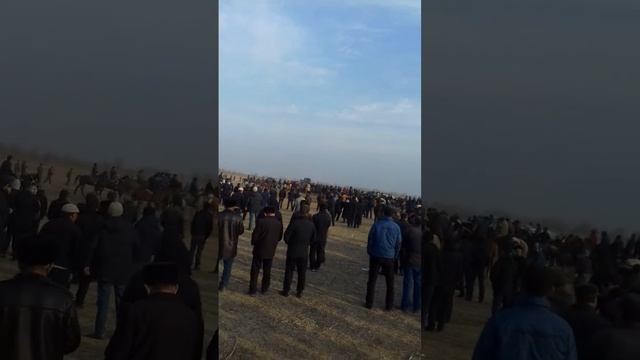 Кокпар2 Афганец Марат. смотреть онлайн