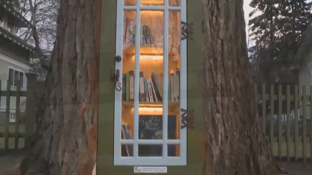 Женщина не стала полностью срубать 110-летний тополь, а превратила его в библиотеку. смотреть онлайн