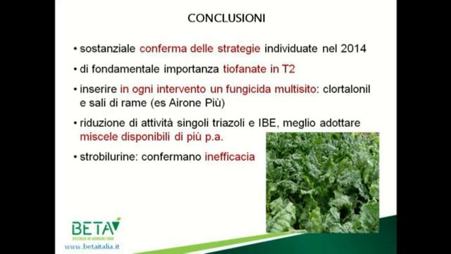 Difesa della barbabietola: cercosporiosi e diserbo смотреть онлайн