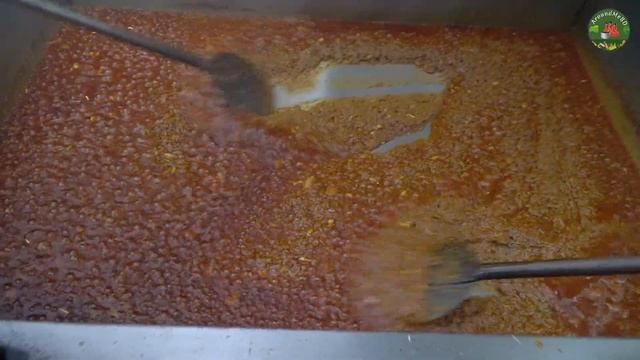 60 KG Rita Fish Cutting & Cooking - Sea Fish Curry Recipe - Village Ladies Preparing Rita Fish смотреть онлайн