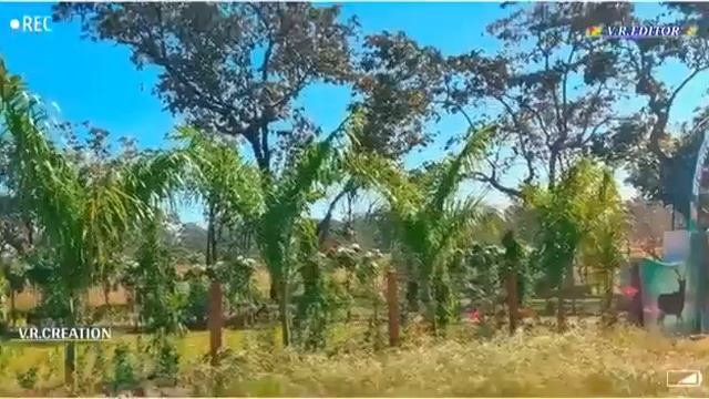 Keshkal Tata Mari kahan hai смотреть онлайн