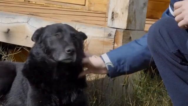 Внук вышвырнул бабушку из квартиры, но дальше произошло ужасное! смотреть онлайн