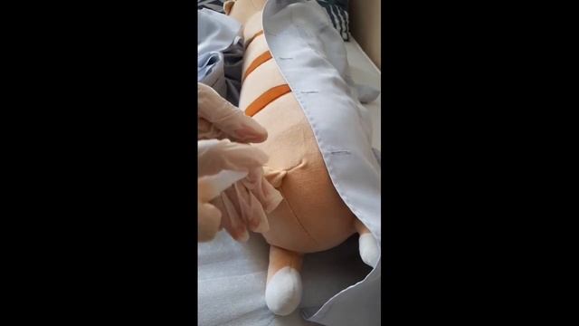 TOPIC 8: Inserting a rectal suppository смотреть онлайн