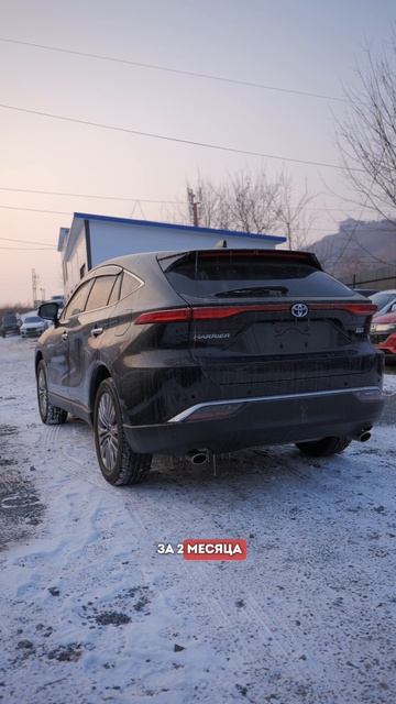TOYOTA HARRIER смотреть онлайн