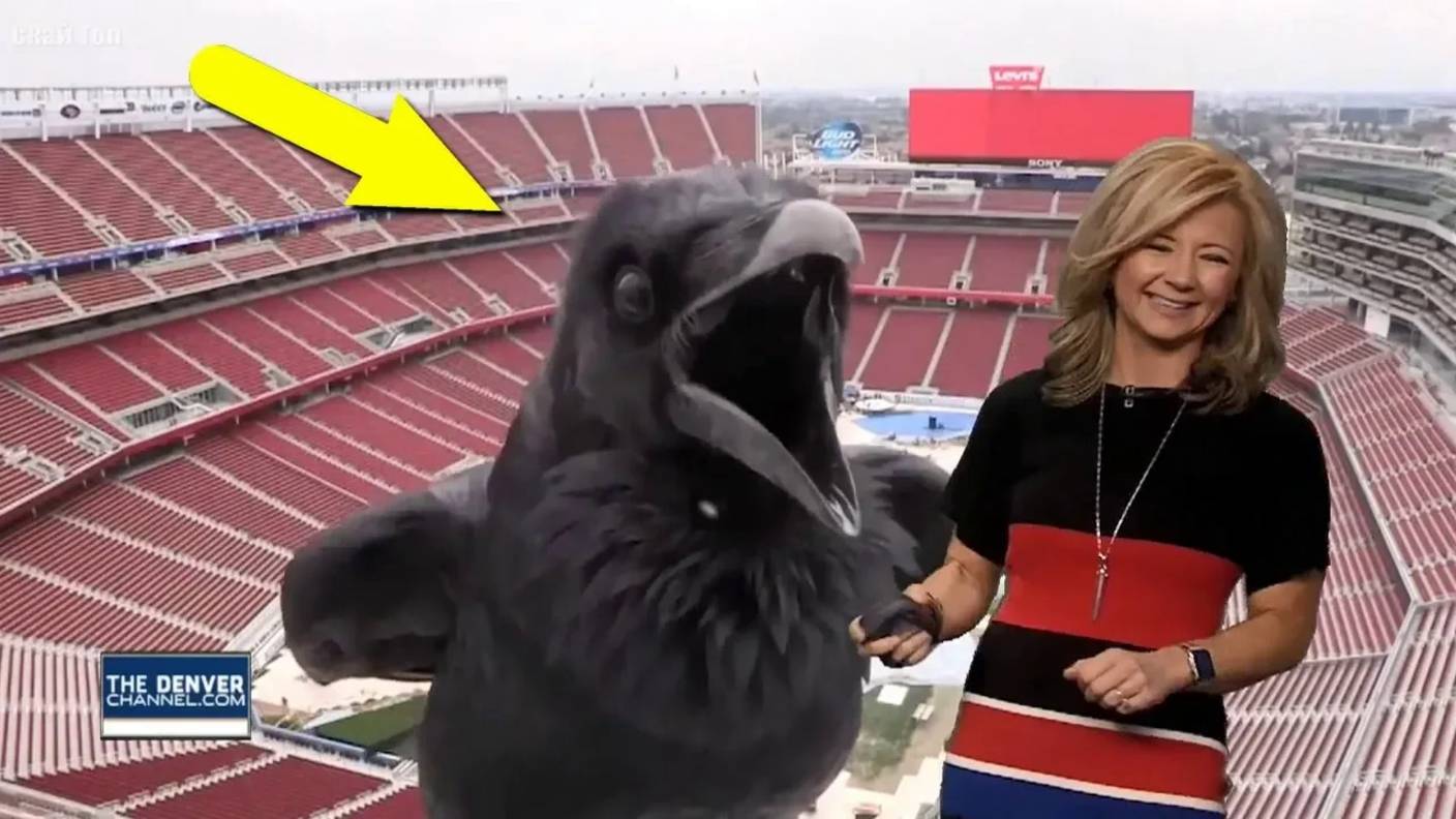 Ржач в прямом эфире! смотреть онлайн