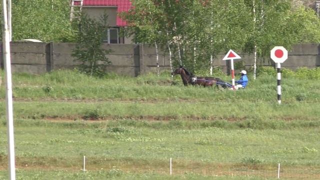 7 Раменский ипподром 28.05.2022 - ПРИЗ ПАМЯТИ НЕИЗВЕСТНОГО СОЛДАТА - 2 гит смотреть онлайн