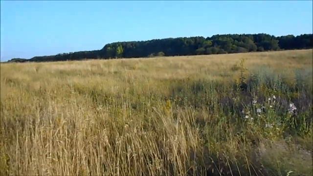жара жарит, а мы собираем душицу смотреть онлайн