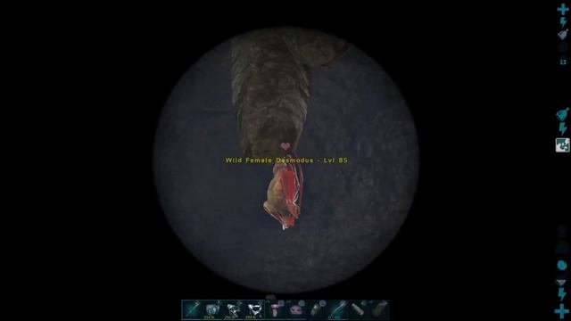 Adventures in Ark - Desmodus Taming смотреть онлайн