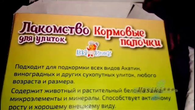 Вкусняшки для улиток / Подкормка 🐌 #боня #пряня #eating #feeding #snail #vitamin смотреть онлайн