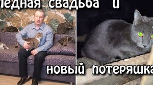 Медная свадьба и новый потеряшка.