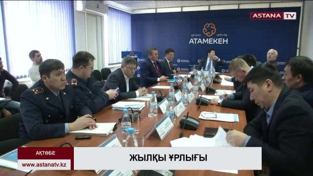 Ақтөбе облысында жыл сайын бір мың бас жылқы ұрланады смотреть онлайн