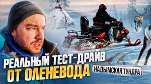 Оленевод тестирует снегоход Lynx Adventure 600 ACE в тундре. Удивил?