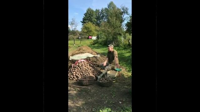 Кіпець? Бо я роблю👍Бульбу перебрав,до півниці повозив, як то кажуть порядок смотреть онлайн