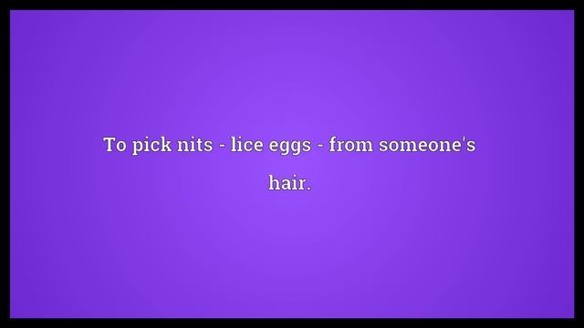 Nitpick Meaning смотреть онлайн