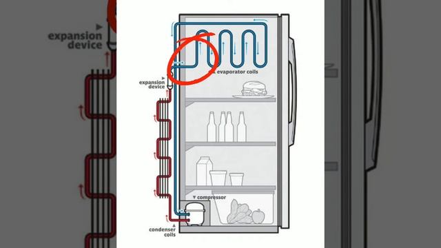 Project 1 Termodinamika Kelompok 1 смотреть онлайн