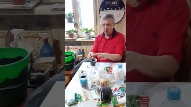 VID 20240224 163450 огород на балконе смотреть онлайн