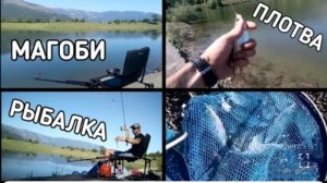 Ловля крупной плотвы на фидер. Магоби рыбалка. Ялта.