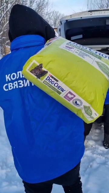 Поездка в приют для животных "Остров надежды" г.Калуга #ВолонтёрыКС54 #НаСвязиСдобром смотреть онлайн