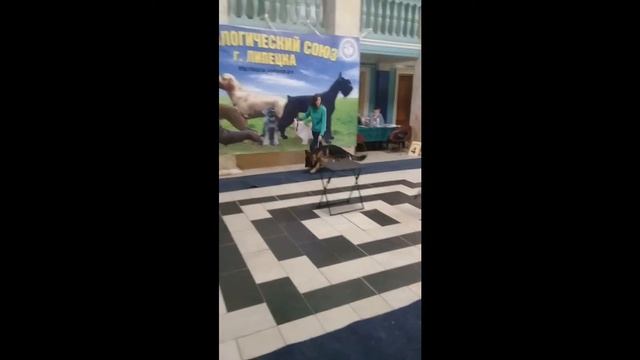 Рич Липецк САС смотреть онлайн