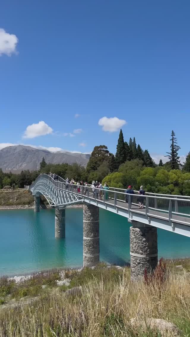 Озеро Текапо — СЛИШКОМ КРАСИВО, чтобы быть настоящим! 💙✨ #новаязеландия#озеротекапо#озера#природа смотреть онлайн