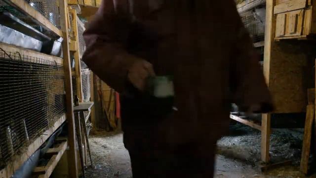 Рабочее утро,ведь они нас ждут. смотреть онлайн