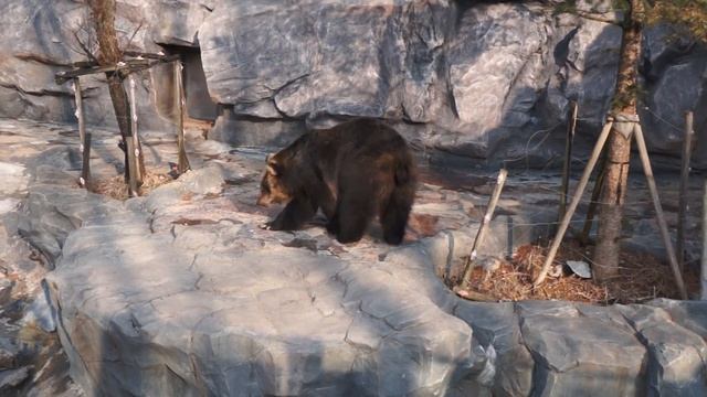 Прогулка в O-World в Тэджоне 06-12 (19.02.2015) смотреть онлайн