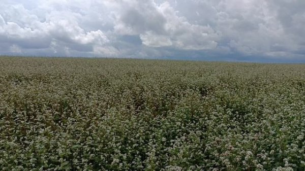 The beauty of nature.